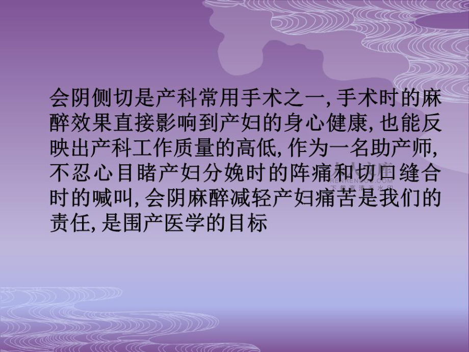 《会阴侧切麻醉方法》PPT课件.ppt_第2页