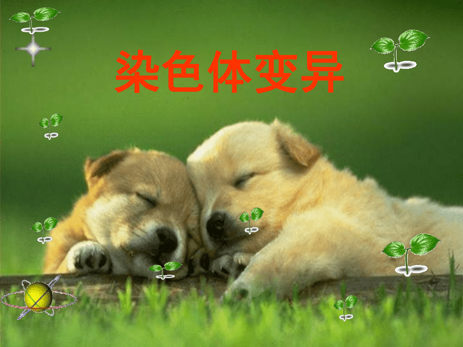 人教版教學必修二第2節染色體變異課件_第1頁