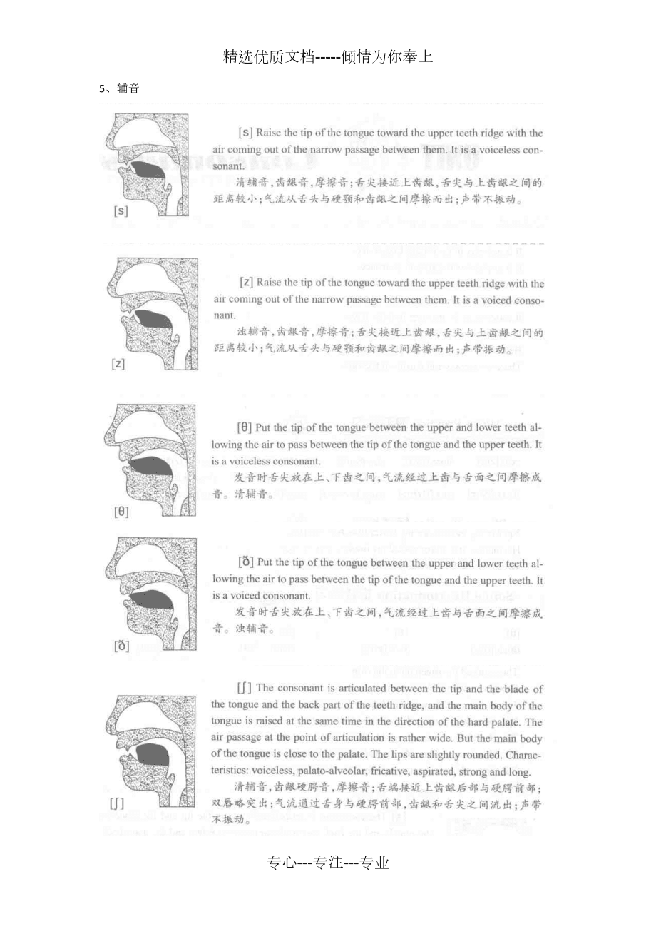 英語音標(biāo)發(fā)音部位圖(共8頁)_第4頁