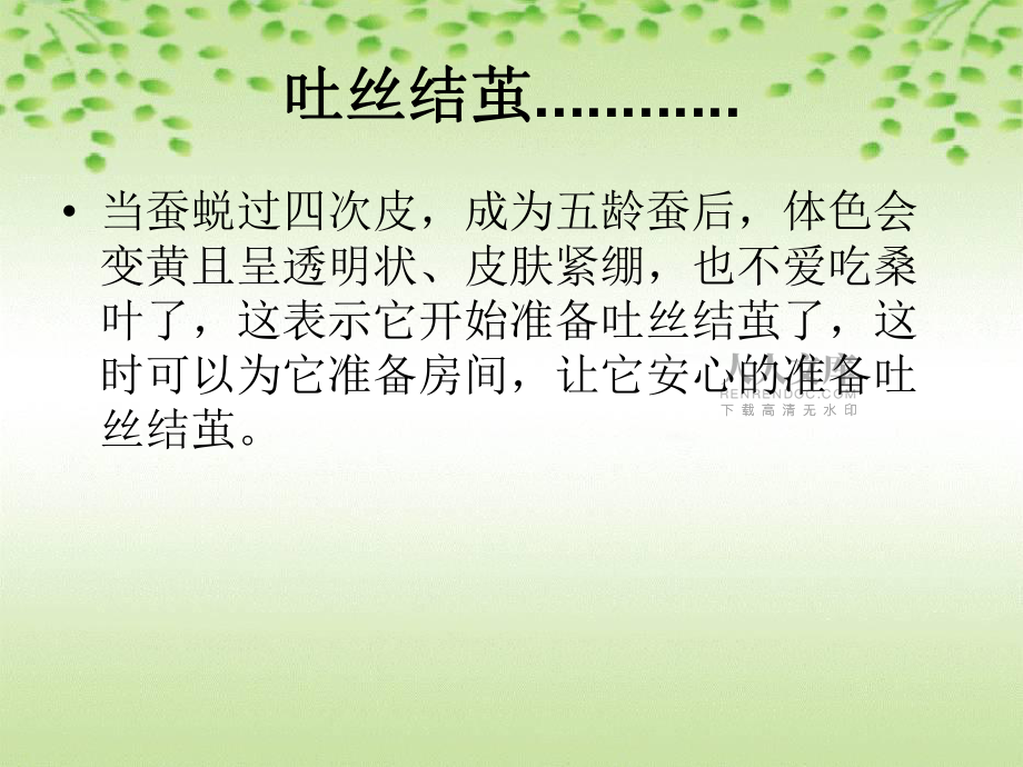 鄂教版)三年級科學下冊課件蠶寶寶建新房教學課件PPT_第2頁