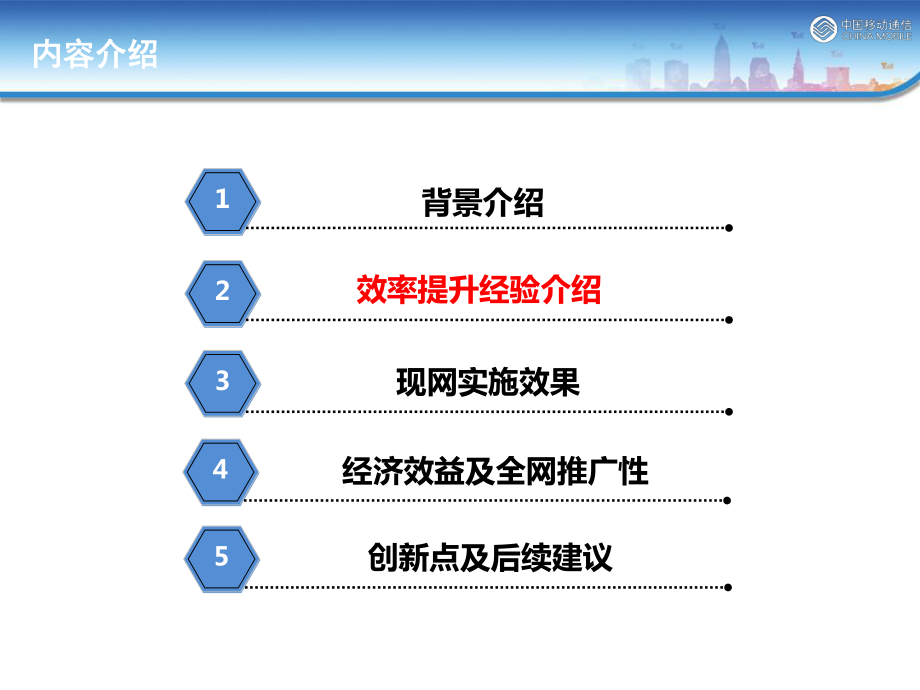 WLAN核心网维护效率提升经验总结_第4页