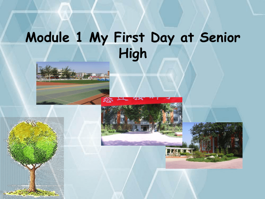 201x_201x学年高中英语Module1MyFirstDayatSeniorHighIntroduction外研版必修_第2页