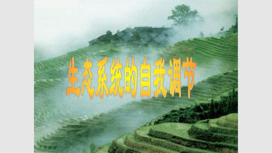 八年级生物生态系统的自我调节_第2页
