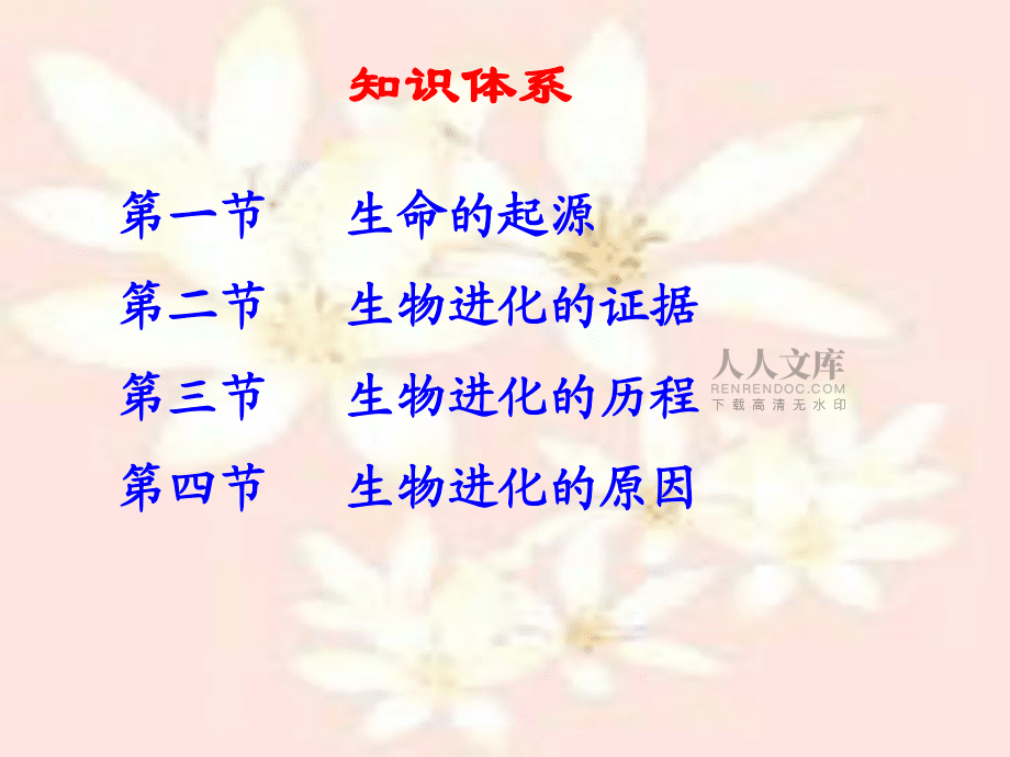 生命的起源和進(jìn)化復(fù)習(xí)課課件_第2頁