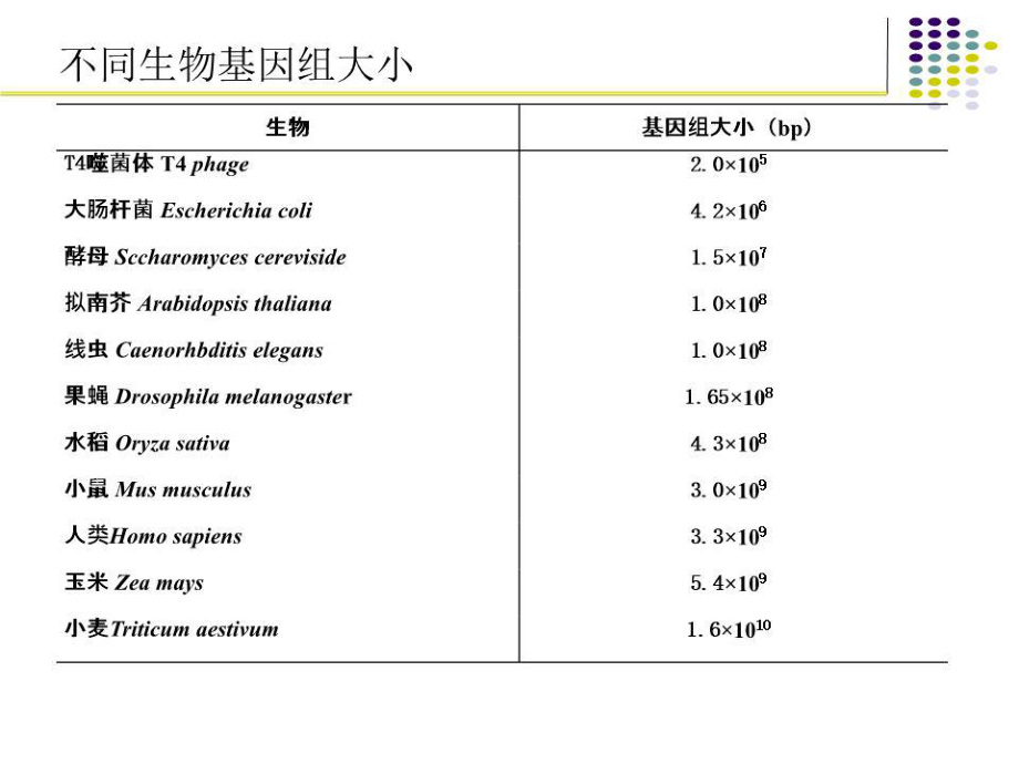 《基因组学》PPT课件.ppt_第4页