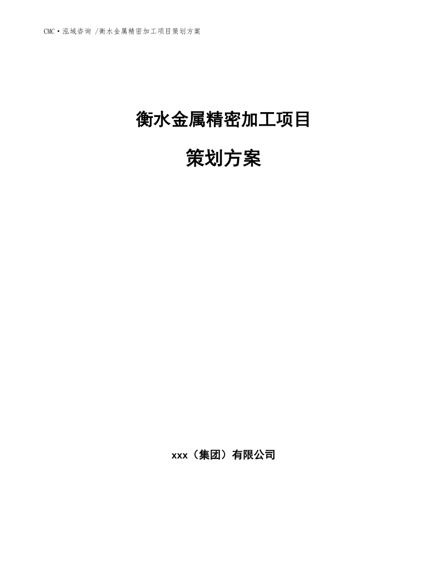 衡水金屬精密加工項目策劃方案(模板范本)_第1頁