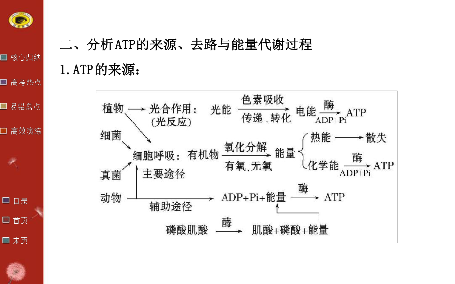 2014版廣西生物高考專題二輪課件專題二第1講酶和ATP_第4頁