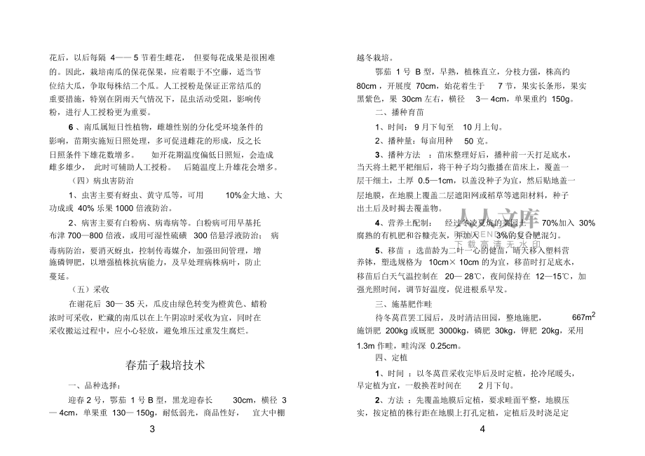 白沙蜜本南瓜品介绍及高产栽培技术_第2页