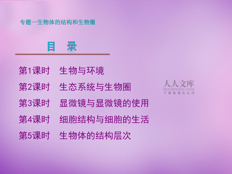 【最新】八年级生物 专题一 生物的生活环境复习课件_第2页