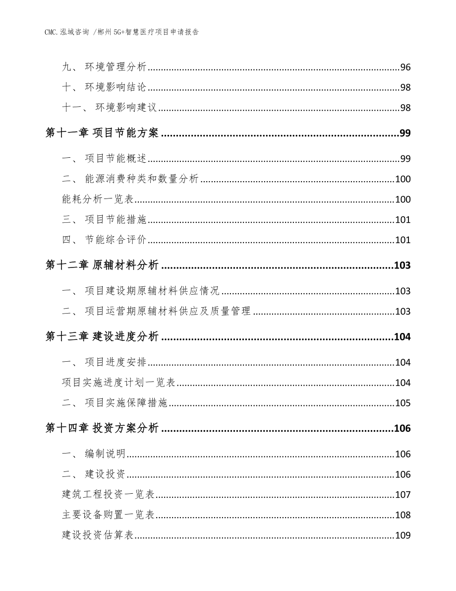 郴州5G+智慧醫(yī)療項目申請報告-參考模板_第4頁