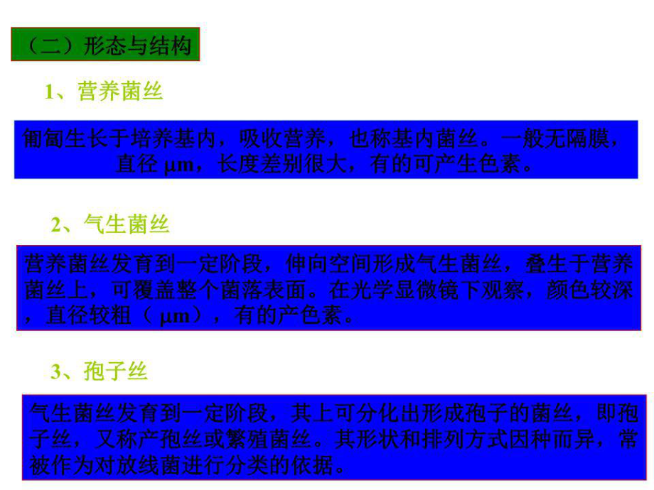 《微生物多樣性》PPT課件.ppt_第4頁