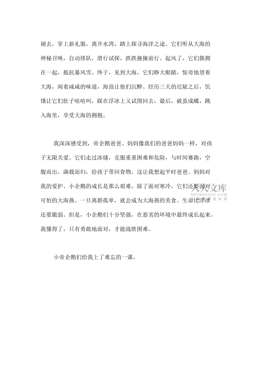 帝企鹅日记2—召唤观后感_第2页