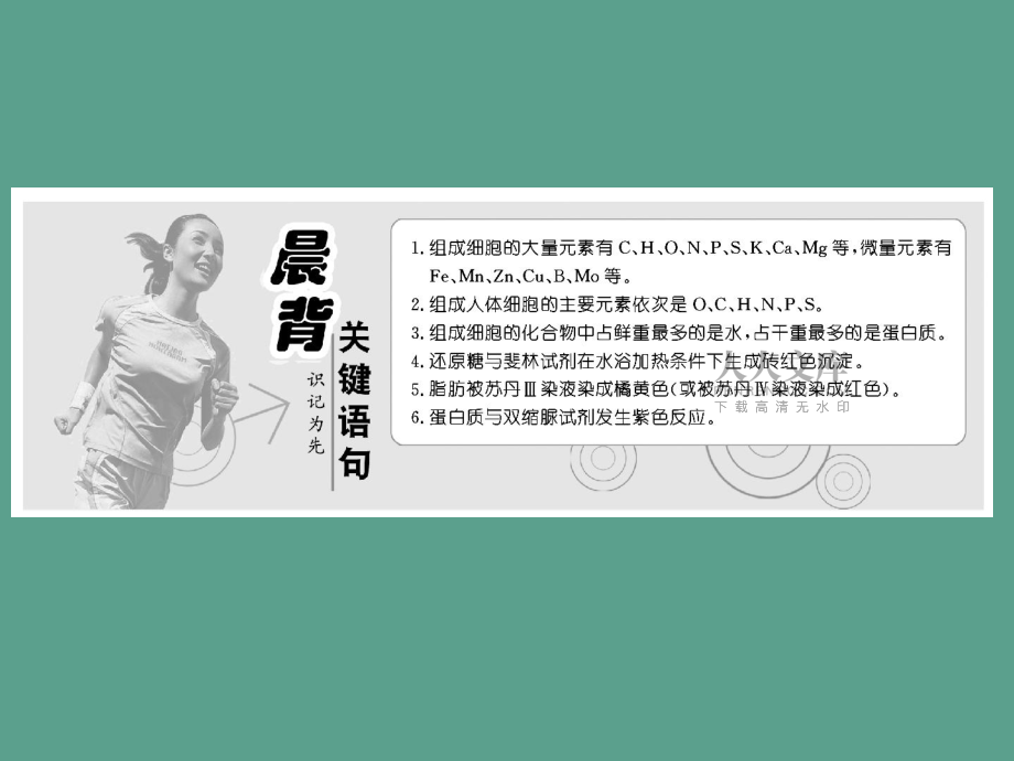 第2章第1节 细胞中的元素和化合物ppt课件_第2页