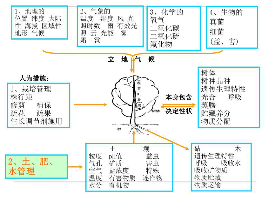 《果園的田間管理》PPT課件.ppt_第2頁