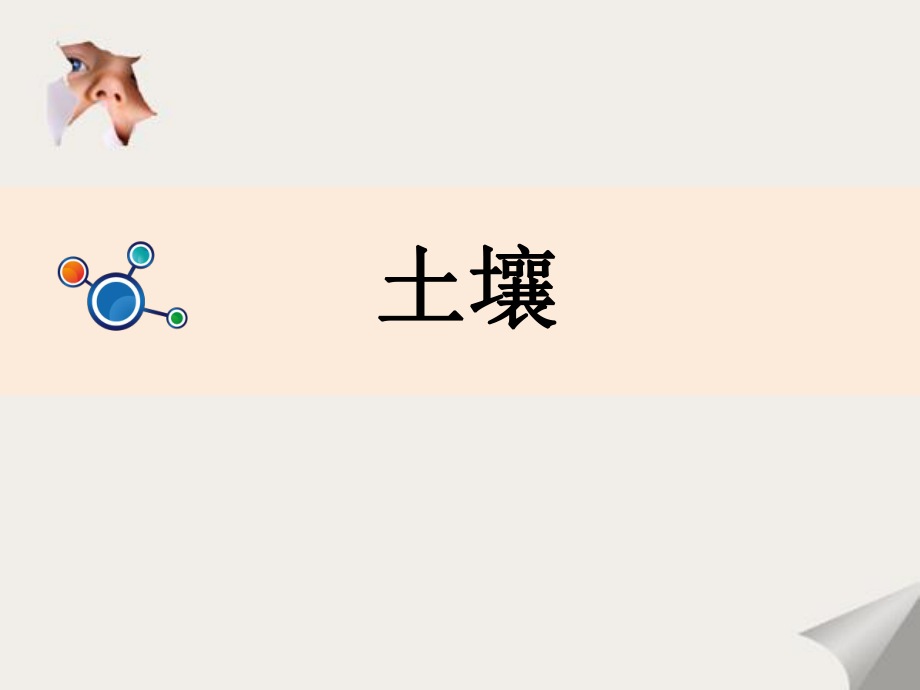 二年級科學上冊1.2土壤__動植物的樂園課件教科版_第3頁