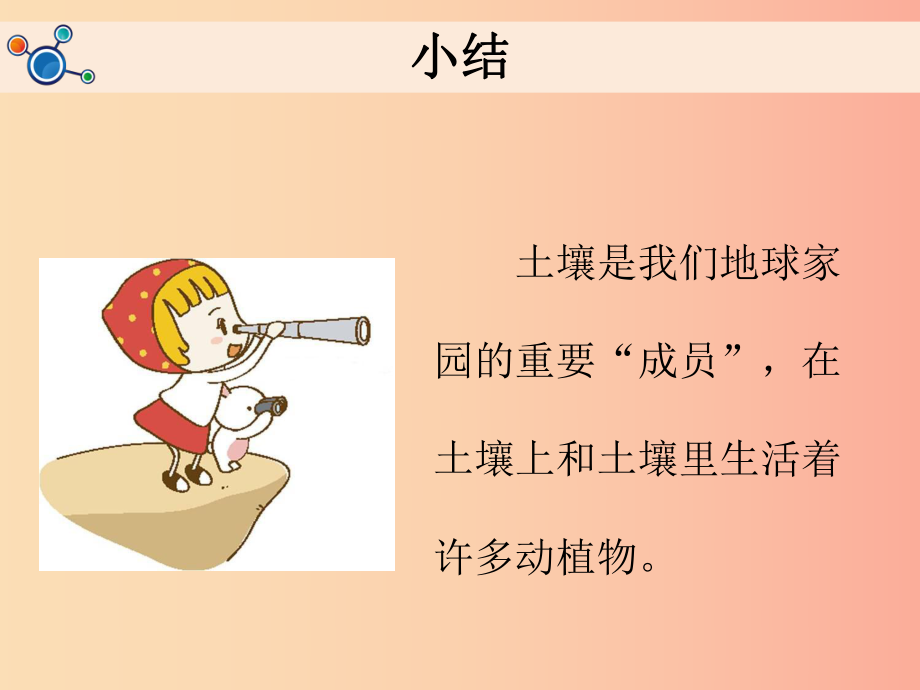 二年級科學上冊1.2土壤__動植物的樂園課件教科版_第5頁