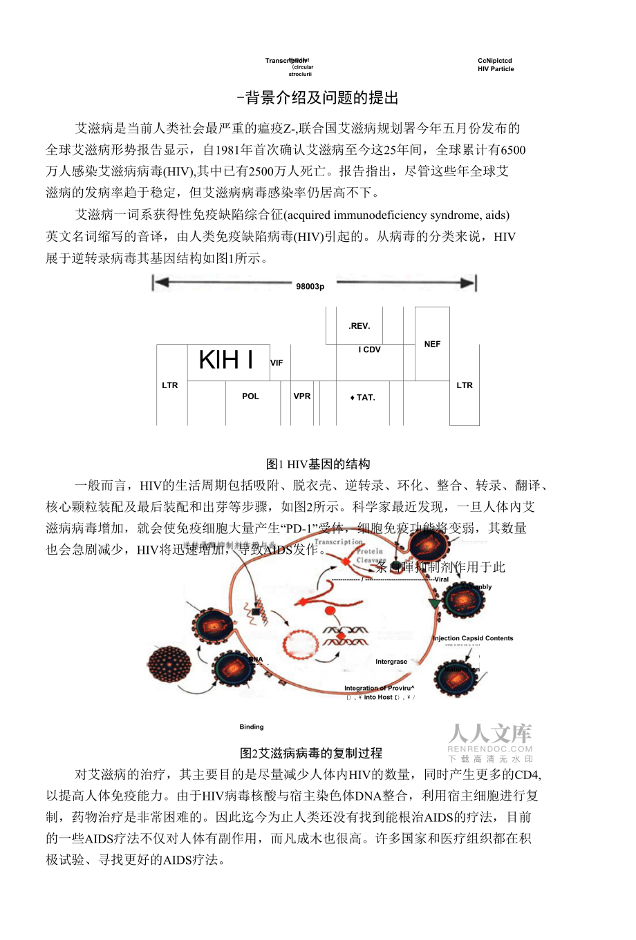 數模論文終稿--畢業論文_第2頁