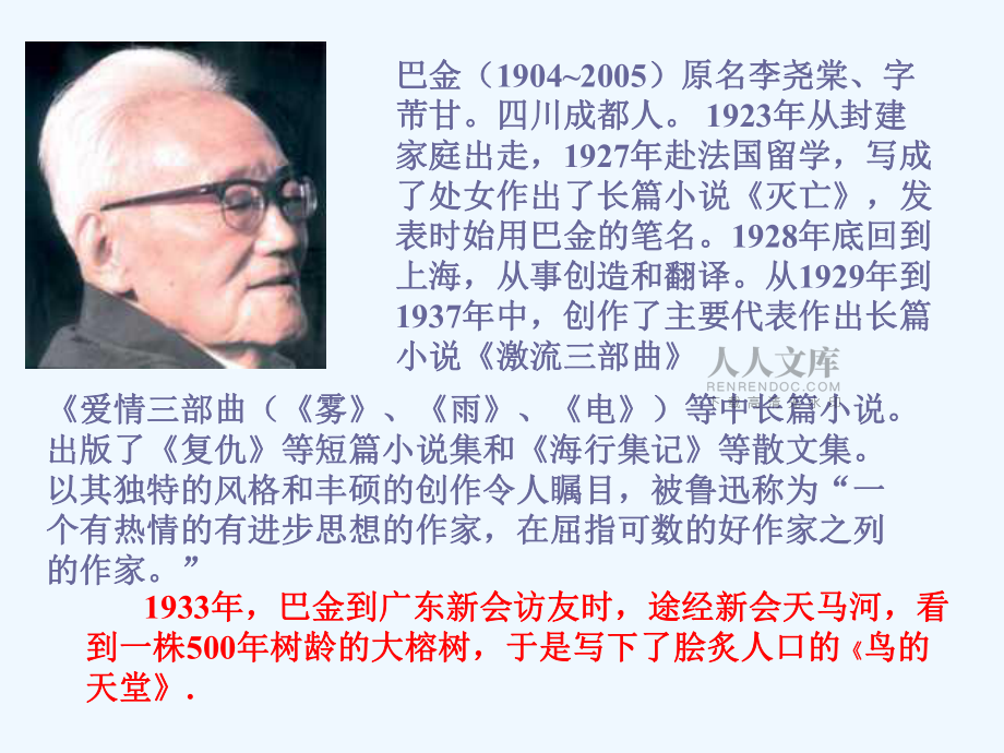 四年级上语文课件-鸟的天堂_人教新课标_第2页