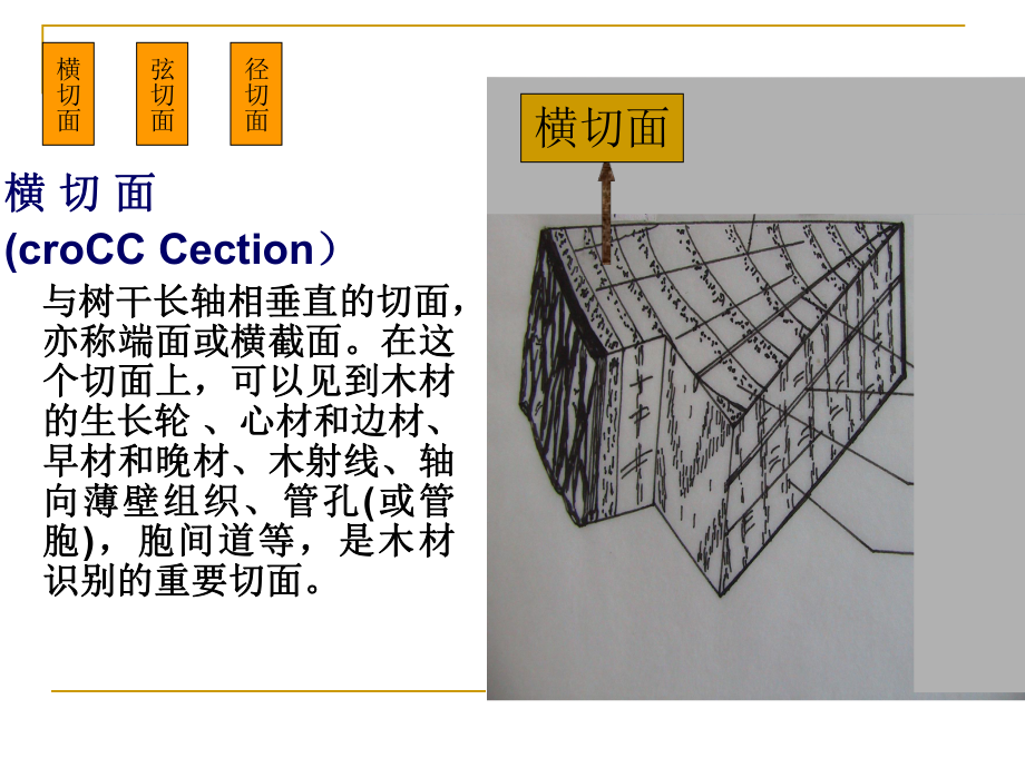 木材学实验(家具)_第5页