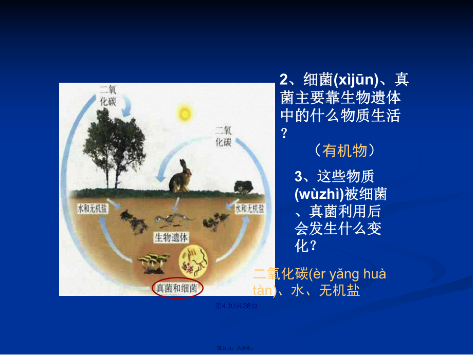 新人教初中生物八年級上冊細菌和真菌在自然界中的作用課件教案_第5頁