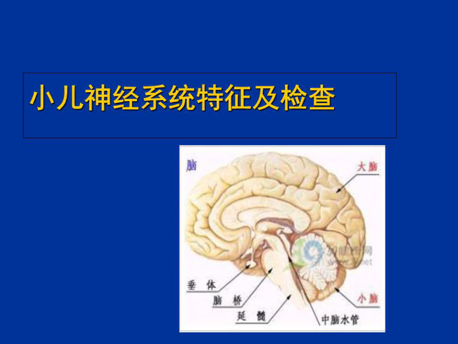 兒科神經系統(tǒng)護理PPT課件.ppt_第4頁