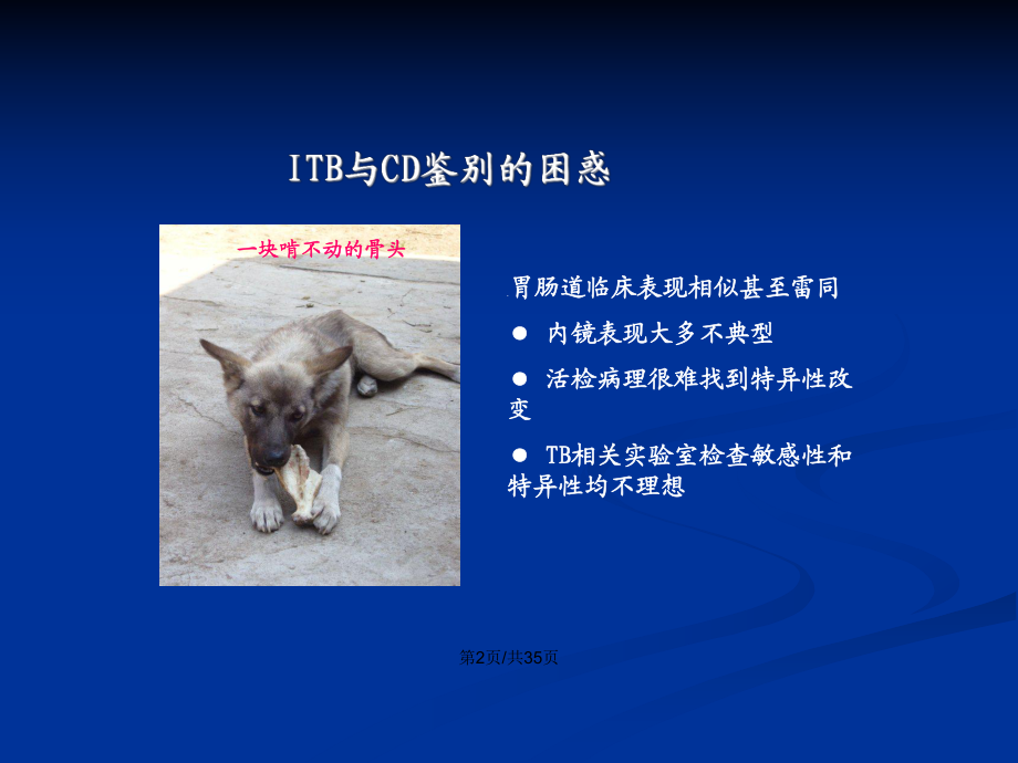 CD与TB的鉴别PPT学习教案_第3页