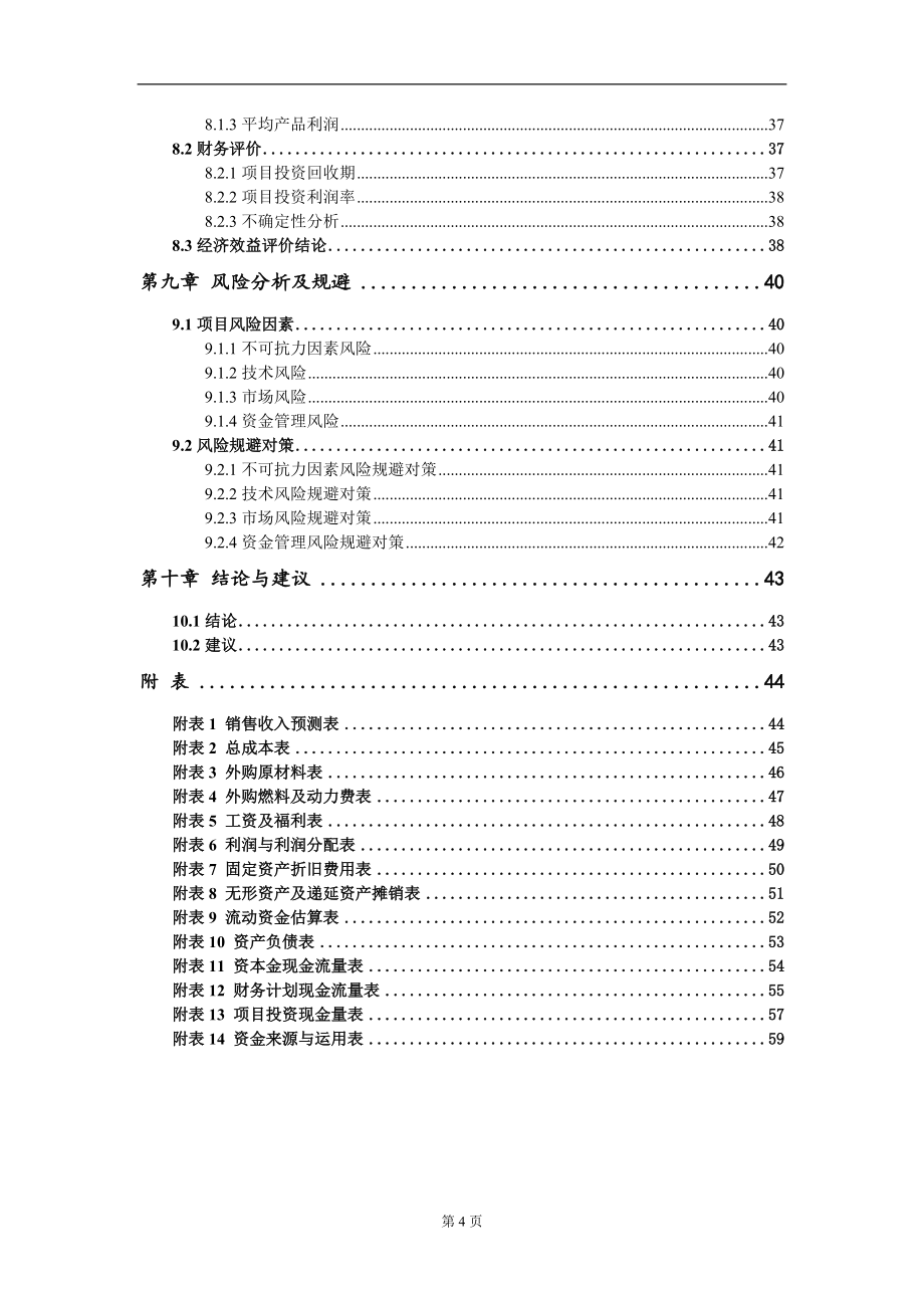 轨道锋衡项目建议书写作模板_第4页