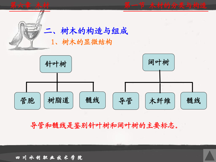 第六章__木材_第4頁