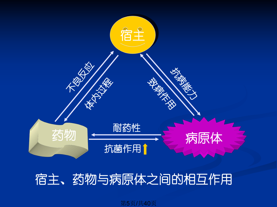 第35章抗菌药物概论_第5页