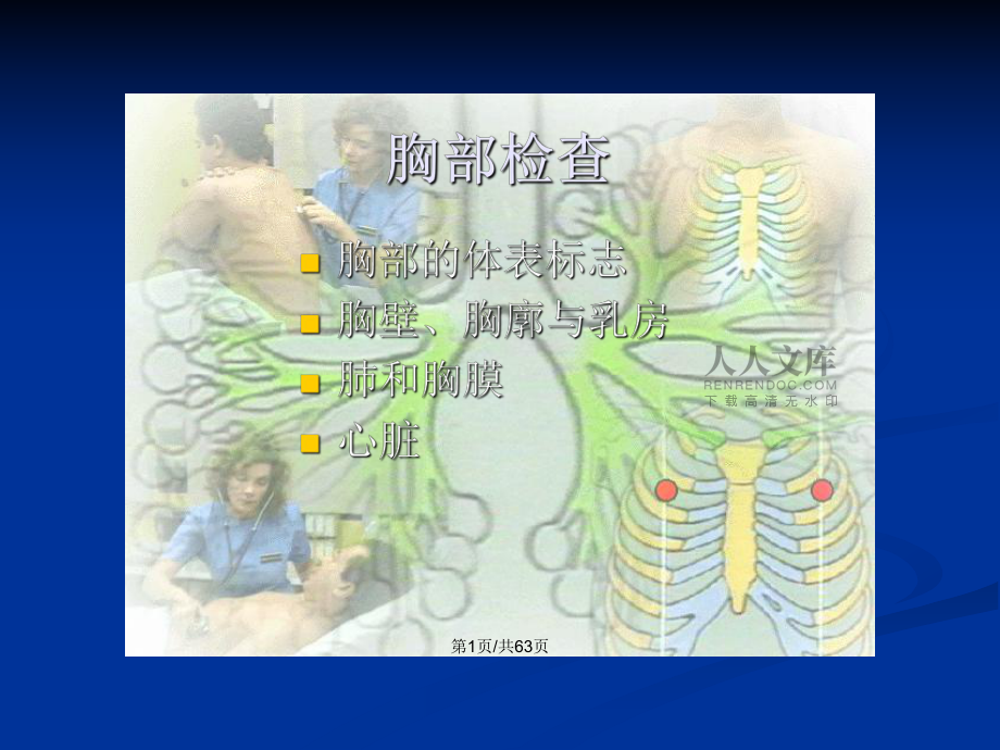 健康评估体格检查胸部PPT学习教案_第2页
