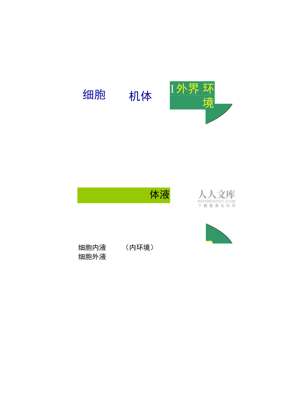 人体的内环境与稳态(公开课)(精)_第2页