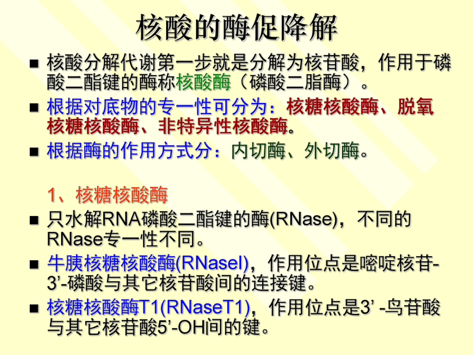第13章核酸的降解和核苷酸代谢_第5页