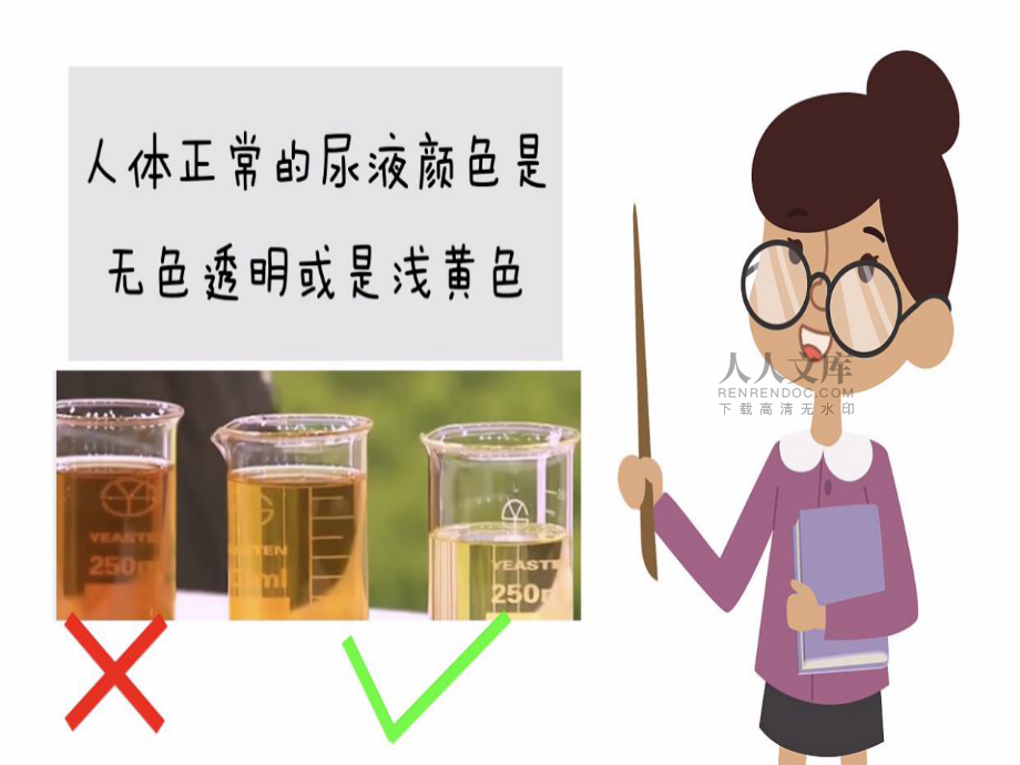 小班健康《尿尿真神奇》微課件_第2頁