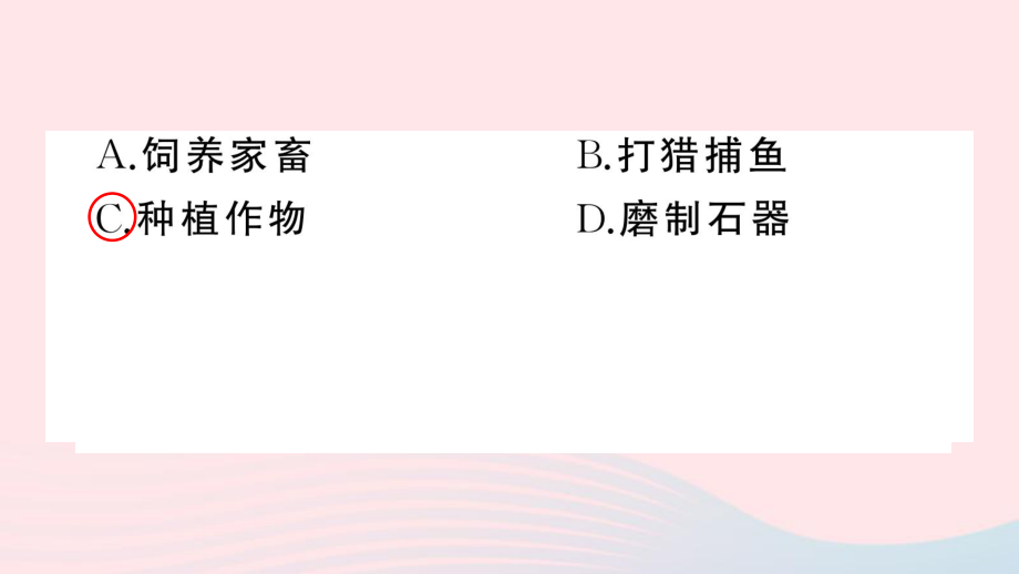 【最新】七年級歷史上冊 第一單元 史前時期:中國境內早期人類與文明的起源第2課 原始農耕生活作業課件 新人教版-新人教版初中七年級上冊歷史課件_第5頁