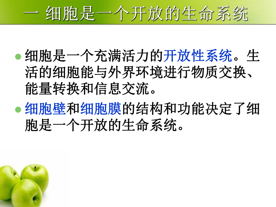 細胞內外的物質交換_第3頁