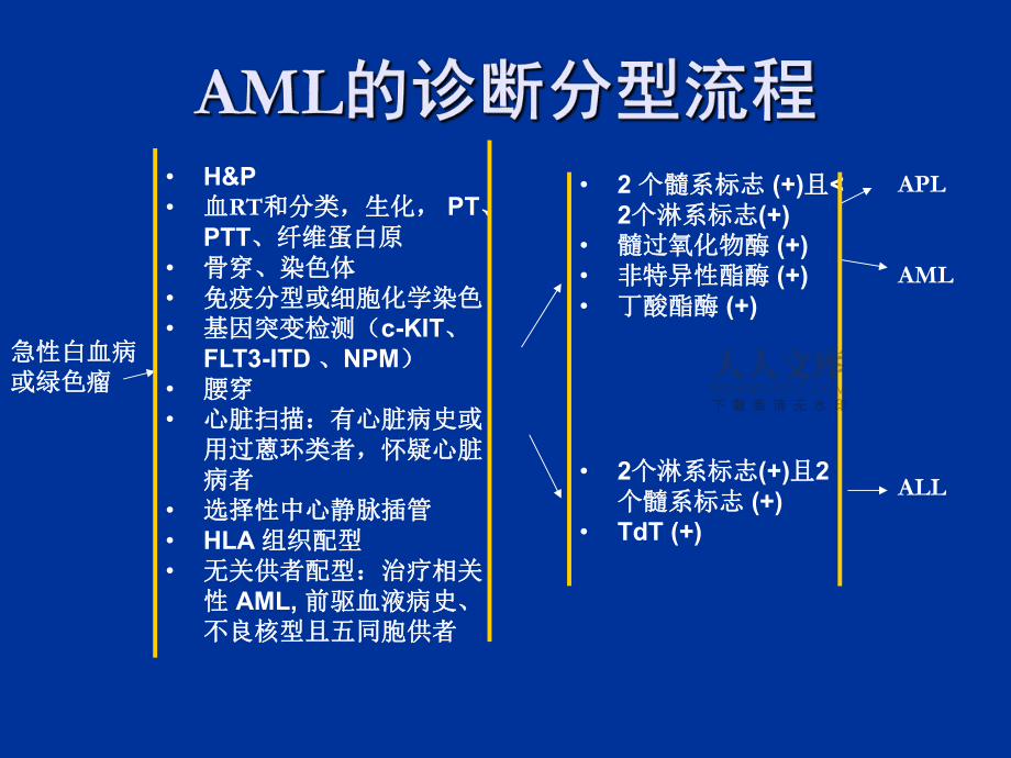 NCCN_AML中文(2)_第2頁