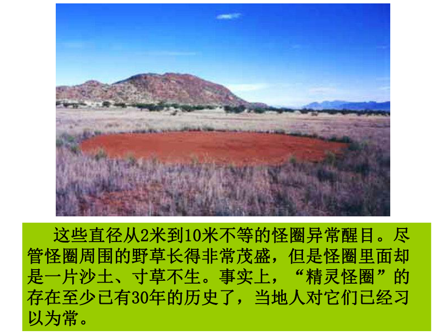 纳米比亚“精灵怪圈”之谜 (2)_第4页