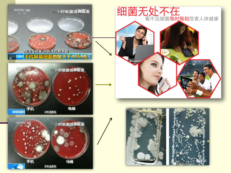 手衛(wèi)生--蔡玨.ppt_第4頁