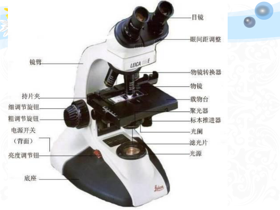 生物:《必修一第一章第二节:细胞的多样性和统一性》_第3页