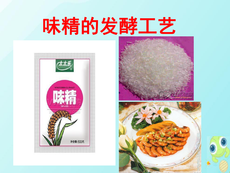 味精的發(fā)酵工藝_第1頁(yè)