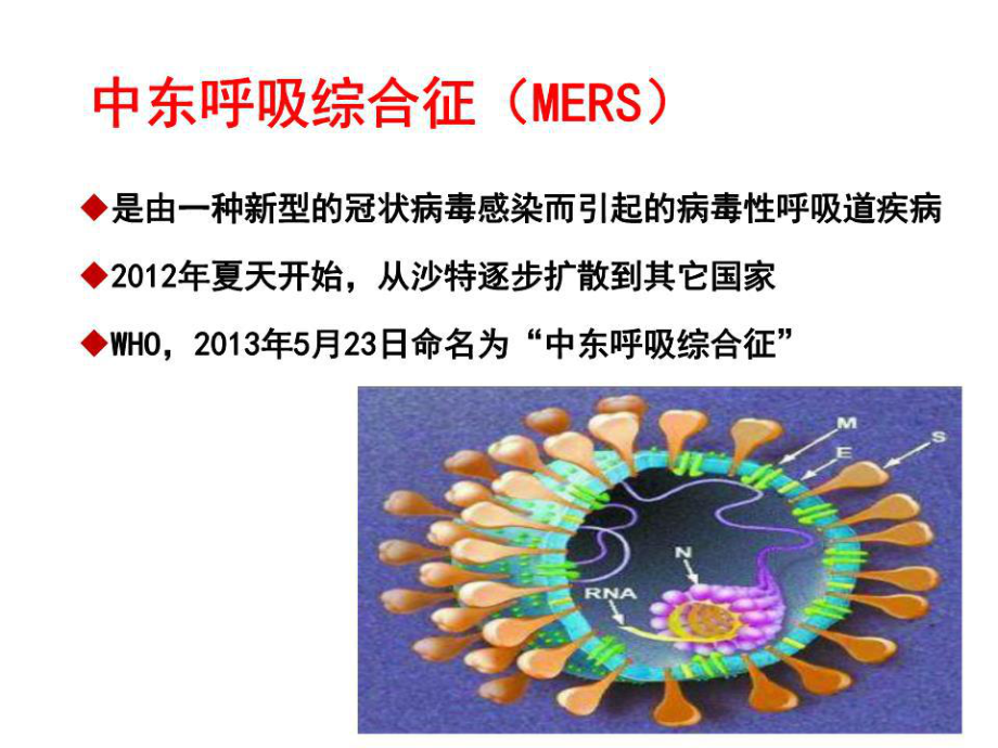 中東呼吸綜合征防控.ppt_第2頁(yè)
