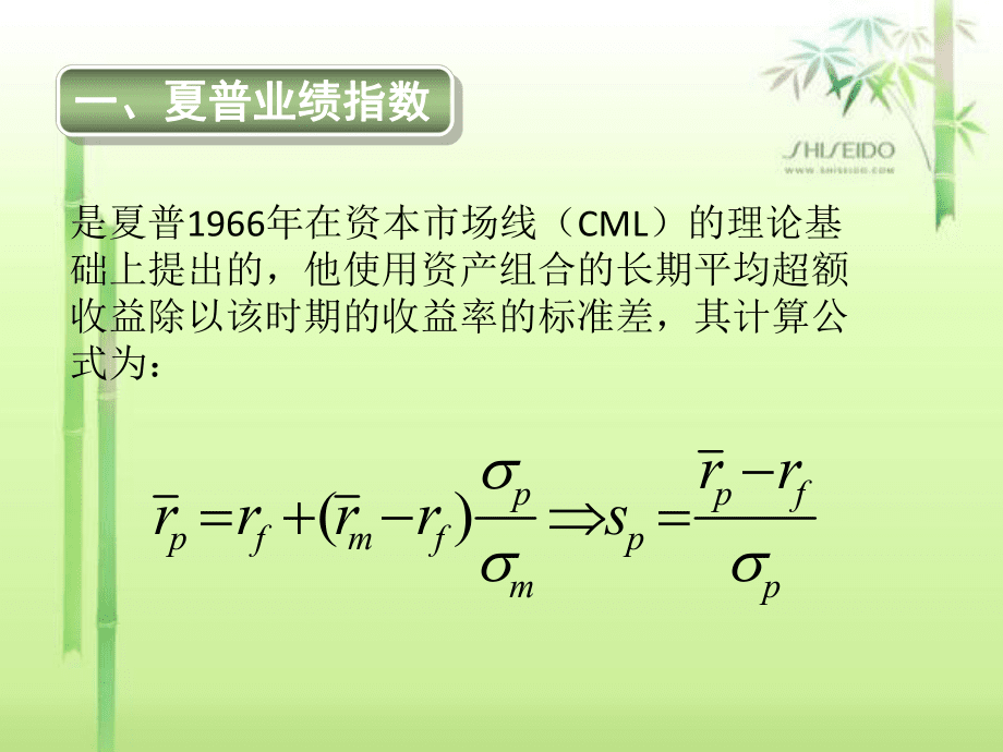 投资学班 业绩评价_第4页