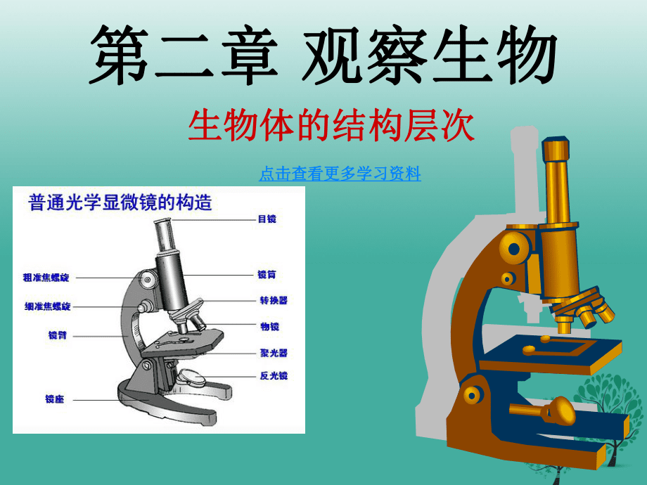 【最新】浙江省中考生物试题研究 生物体的结构层次课件-人教级全册生物课件_第1页