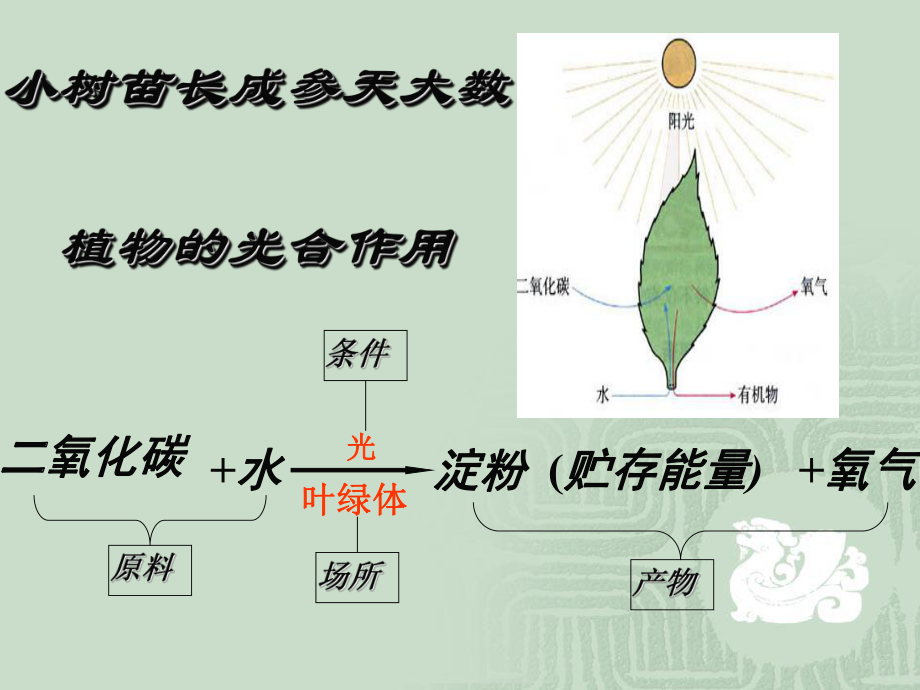 浙教版九年級(jí)上冊(cè)科學(xué)第一章第一節(jié)物質(zhì)的變化(49張PPT)_第5頁