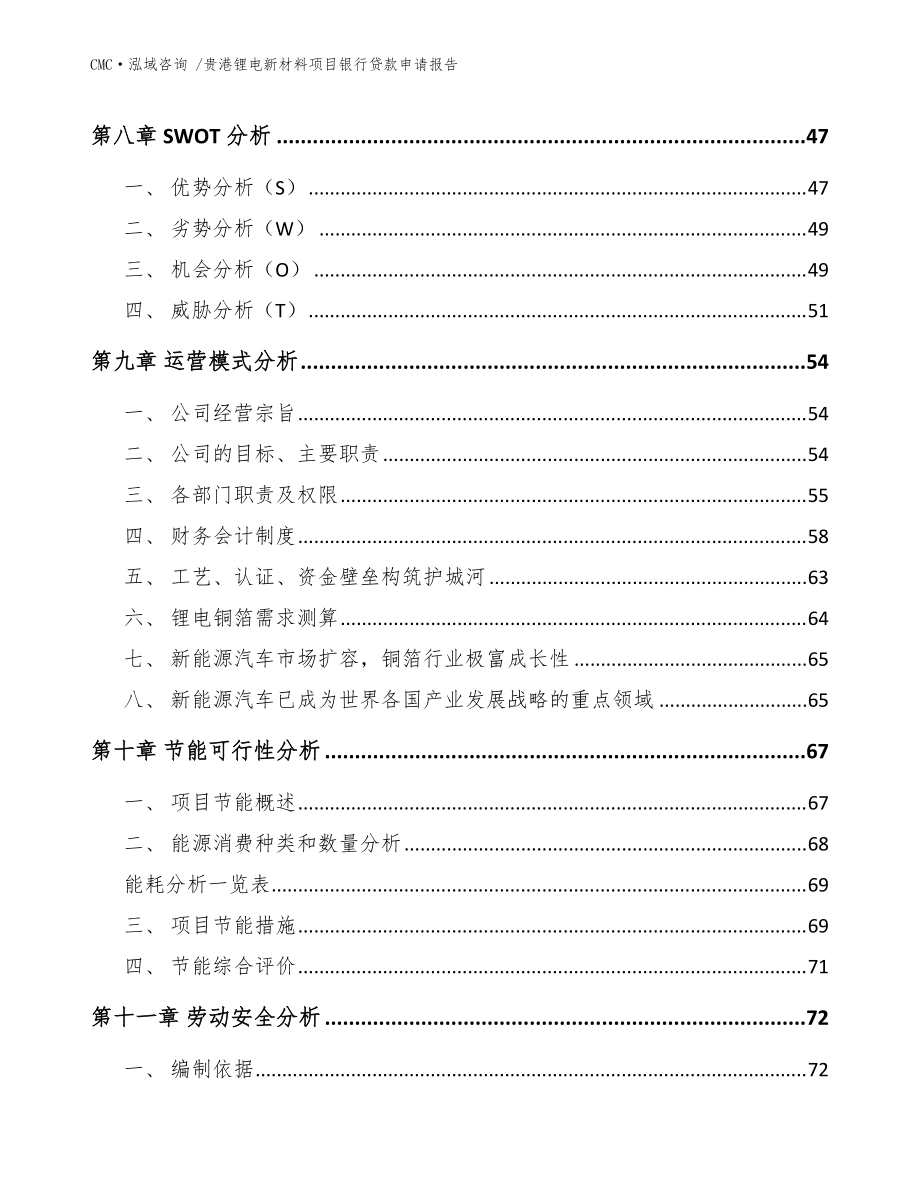 贵港锂电新材料项目银行贷款申请报告模板范文_第4页
