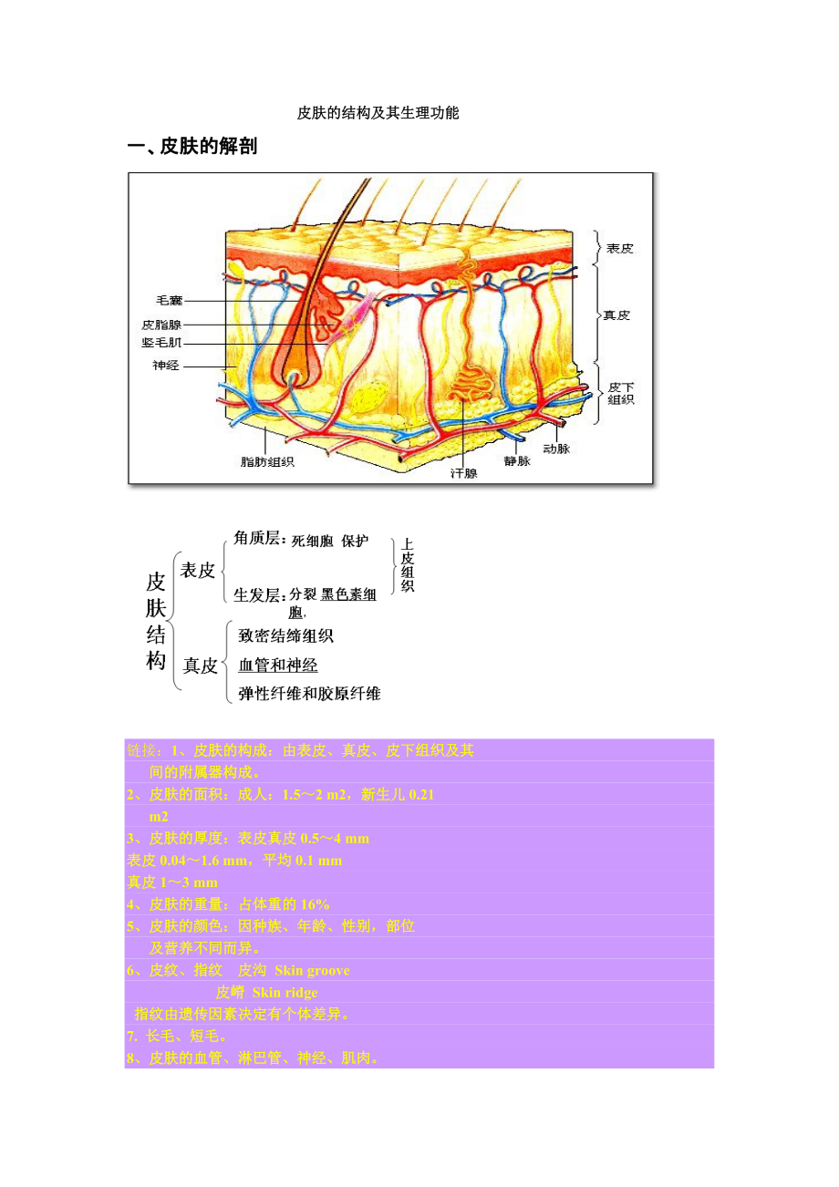 皮肤的结构及其生理功能_第1页