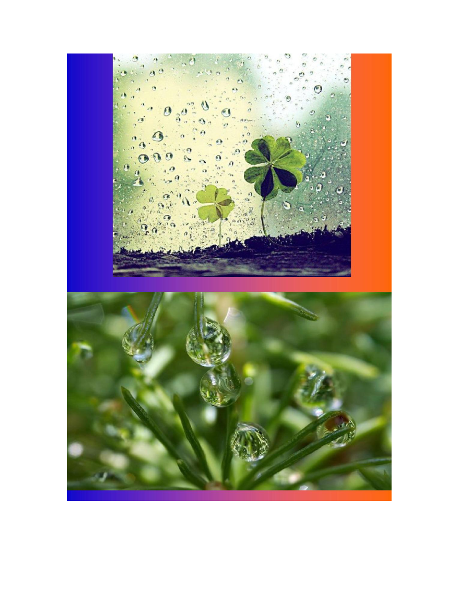 水滴的瞬间魔术_第3页