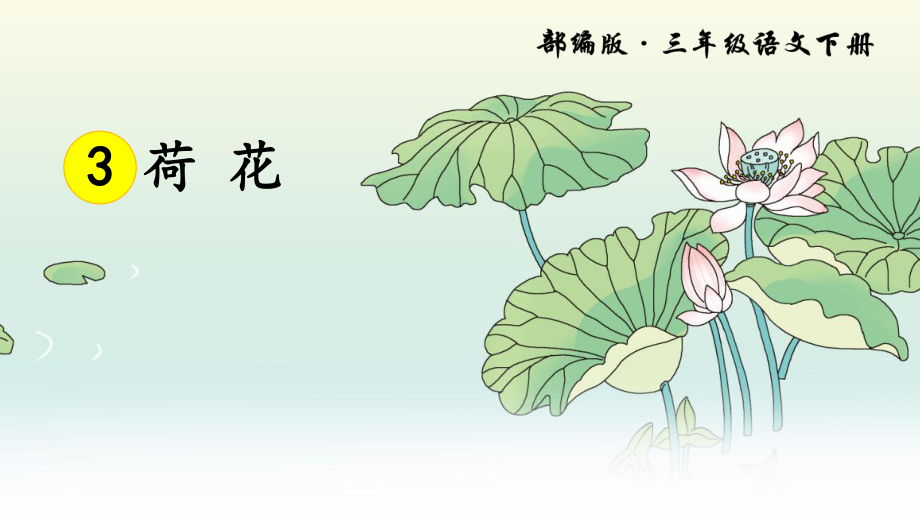 部編版三年級(jí)下冊(cè)語(yǔ)文第三課荷花課件_第3頁(yè)