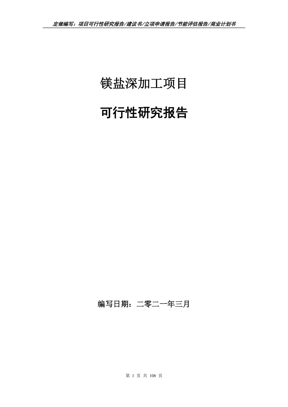 鎂鹽深加工項目可行性研究報告寫作范文_第1頁