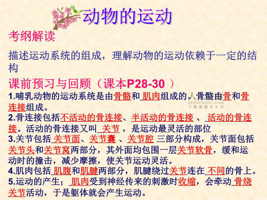 動(dòng)物的運(yùn)動(dòng)和行為復(fù)習(xí).ppt_第2頁(yè)